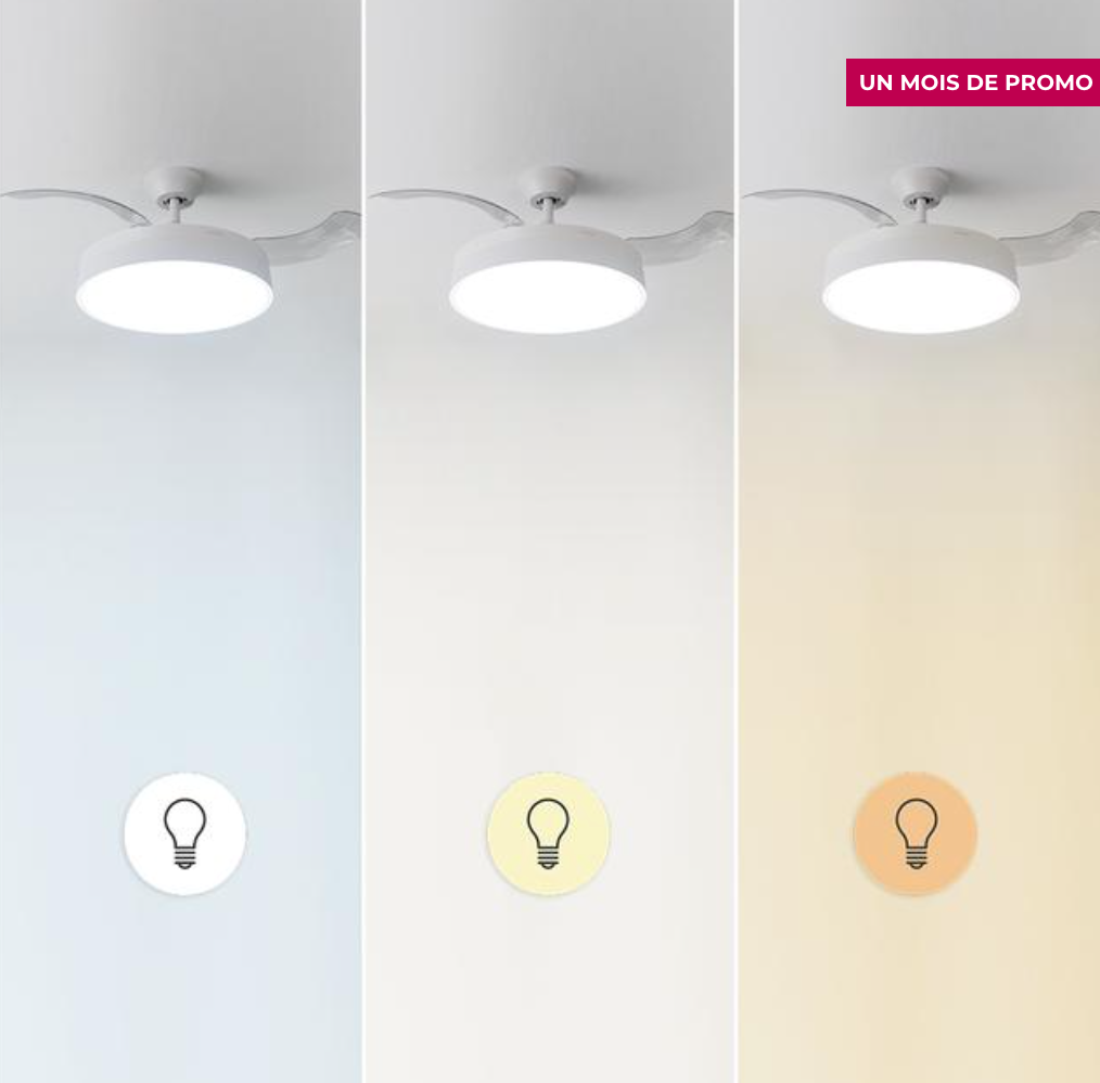 Ventilateur de plafond à 3 pales rétractables / 5992