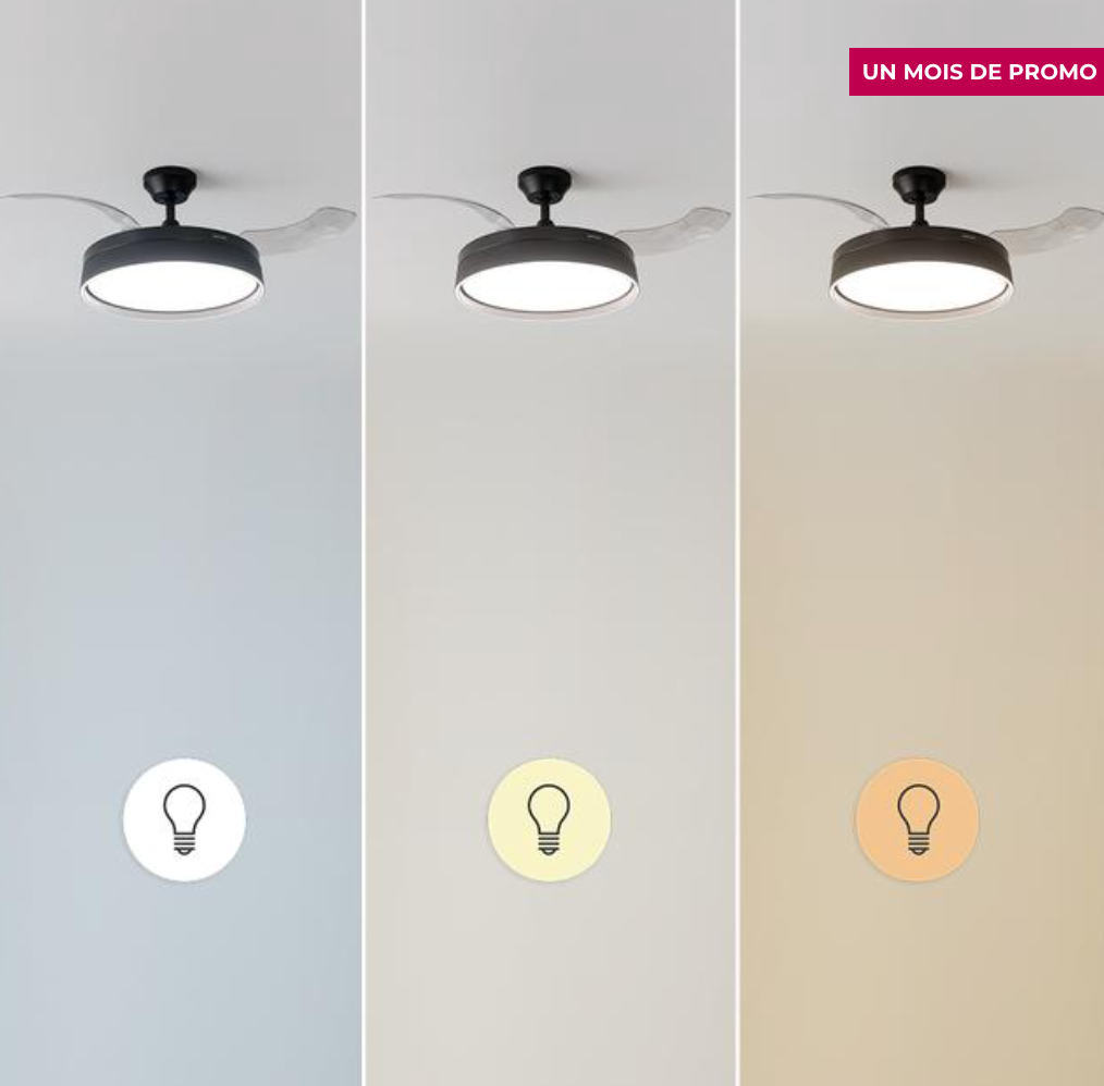 Ventilateur de plafond à 3 pales rétractables / 5993